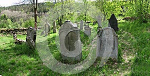 An abandoned Jewish cemetery in RabÃÂ¡tejn nad StÃâ¢edlou in the Czech Republic photo